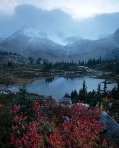 a mountain lake surrounded by trees and bushes with snow on the mountains in the background