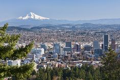 the city is surrounded by mountains and trees