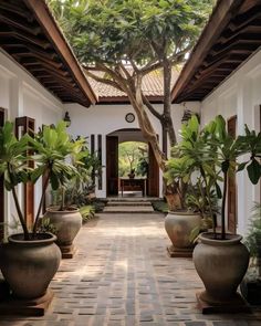 a walkway with potted plants and trees on either side