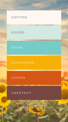 This autumn sunflower-themed color palette features rich chestnut brown, warm dark orange, vibrant sunflower yellow, refreshing river teal, light turquoise, and soft cream. Perfect for capturing the essence of fall, this palette is ideal for art, design, and décor projects, evoking the warmth and beauty of an autumn day in a sunflower field. Each color adds depth and contrast, creating a harmonious and inviting visual experience. Sunflower Logo Design, Sunflower Color Palette, Colour Palette Autumn, Fall Colour Palette, Sunflower Orange, Palette Autumn, Autumn Sunflowers, Turquoise Color Scheme, Teal Palette