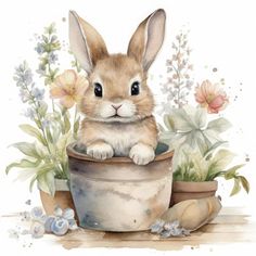 a watercolor painting of a rabbit sitting in a flower pot with flowers around it