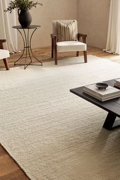 a living room filled with furniture and a white rug