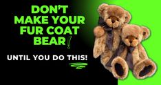 Laura Lynn, Real Fur, Synthetic Fabric, Teddy Bears, Bears, Fur Coat, Teddy Bear, Make Your