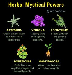 the different types of herbs and their uses