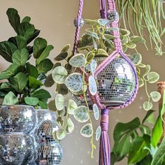 Add some disco bling to your plant world! It's completely addicting to watch the disco balls shimmer off the sun and into your room. 🕺🪩 Whether you're going for that retro vibe or simply want to add some pop to your room, this is the plant hanger you never knew you wanted! The plant hangers are all handmade in the USA. I specialize in blending different colored cords to bring you unique, colorful patterns you can't find anywhere else! The pots are made of solid concrete (not the cheap plastic Macrame Disco Ball Hanger Diy, Plant Disco Ball, Disco Ball In Macrame Hanger, Disco Ball Pots & Planters, Macrame Plant Hanger Disco Ball, Support Pour Plante, Hanger Diy, Disco Balls, Disco Ball