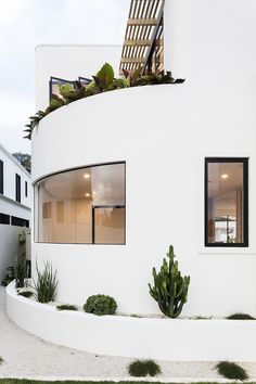 a white house with plants growing on the roof