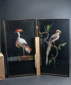 two framed paintings with birds on them sitting next to each other in front of a black wall