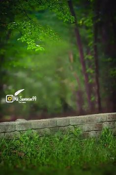 a brick wall in the middle of a grassy area with trees and bushes behind it