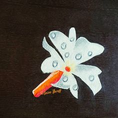 a painting of a flower with water drops on it's petals and an orange carrot in the center