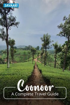 Coonoor – Darjeeling of Nilgiris | A Complete Travel Guide Coonoor Hill Station Photography, Coonoor Hill Station, Ooty Hill Station Photography, Ooty India Photography, Ooty Hill Station, Ooty Trip, Hill Pictures, Holidays Abroad