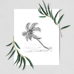 a black and white drawing of a palm tree on a paper with leaves around it