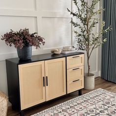 a potted plant sitting on top of a wooden cabinet next to a rug and window