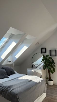 an attic bedroom with skylights and a bed in the corner, along with a potted plant