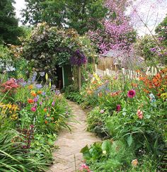 a garden filled with lots of colorful flowers