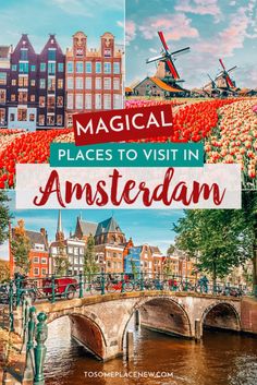 the canals and flowers in amsterdam with text overlay that reads, magic places to visit in amsterdam