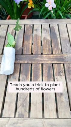 a wooden table with flowers on it and a sign that says teach you a trick to plant hundreds of flowers