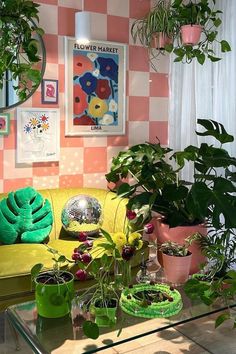 a living room filled with lots of plants on top of a glass topped coffee table