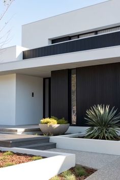 a modern house with large plants in the foreground and stairs leading up to it