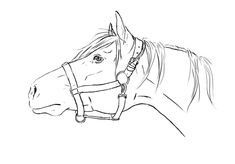 a line drawing of a horse's head with the bridle on it