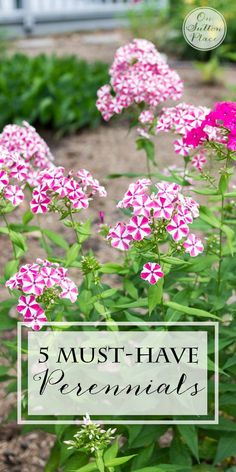 pink and white flowers with the words 5 must have essentials in front of them