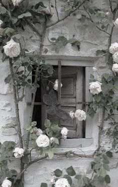 an old window surrounded by white flowers on a stone building with vines growing around it