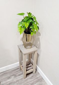 a potted plant sitting on top of a wooden table next to a white wall