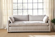 a white couch sitting in front of a window next to a potted green plant