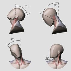 three views of the head and neck, with different angles to show it's location