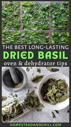 the best long - lasting dried basil for oven and dehydraator tips