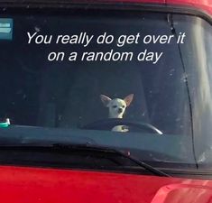 a dog is sitting in the driver's seat of a red car with a message written on it