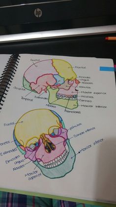 a notebook with a diagram of the human skull