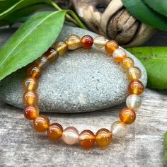 8mm Carnelian Bracelet Carnelian Bracelet, New Ideas, Trust Yourself, Positive Energy, Amber, Honey, Beaded Bracelets, Energy, Range