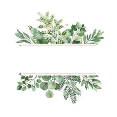 watercolor leaves and branches on white background