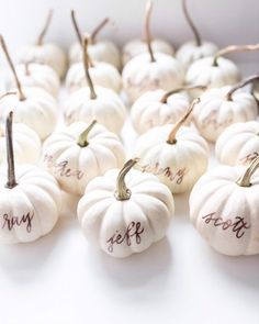 small white pumpkins with writing on them are arranged in rows and placed next to each other