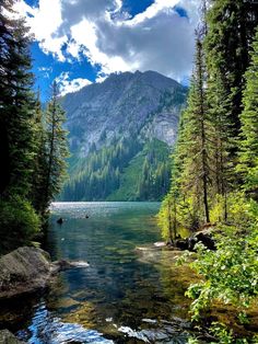 a river surrounded by trees and mountains under a cloudy sky