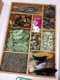 a drawer filled with lots of different types of plants and food in wooden trays