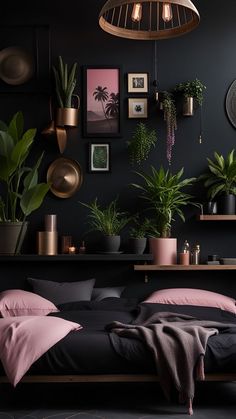 a bedroom with black walls and plants on the shelf above it, along with pictures