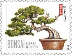 a stamp with a bonsai tree on it