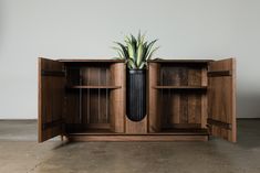 a potted plant sitting on top of a wooden cabinet