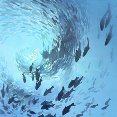 a large group of fish swimming in the ocean