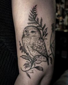 an owl tattoo on the arm