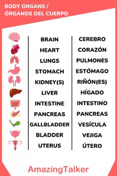 the body organ and its functions are labeled in this poster, which includes an image of organs