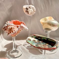 three glass vases with seashells in them