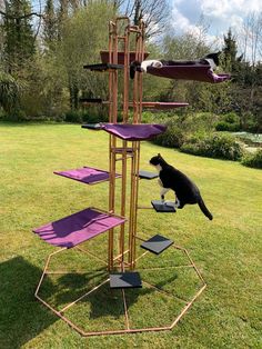 a cat climbing on top of a purple tower