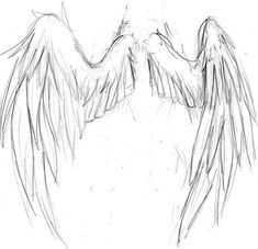 a drawing of an angel's wings with one wing extended to the other side