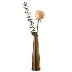 Dimensions: Standing 8 inches high and with a diameter of 3 inches, this vase is designed to combine practicality with aesthetic appeal, Its cone profile is ideal for displaying pampas grass, delicate floral stems, or other decorative accents, adding a touch of elegance to any space, The vase's versatile design blends with modern and rustic room decor styles, Whether used as a centerpiece on a dining table, a decorative accent on a mantel, or a charming addition to a shelf, this vase allows you Table Centerpiece Flower, Modern Centerpieces, Vase Modern, Table Flower, Table Vase, Flower Holder, Fine Ceramic, Gold Ceramic, Modern Vase