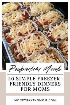 Postpartum Meals:  20 Simple Freezer Meals for Moms! Small Portion Freezer Meals, Homemade Frozen Meals Dinners, Single Freezer Meals Cooking For One, Good Frozen Meals, Easy Meals That Freeze Well, Dinners For Freezing, Easy Freezer Meals Postpartum, Post Birth Freezer Meals, Freeze Ahead Meals For New Moms