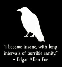 a white bird sitting on top of a black background with a quote from edgar allen poe