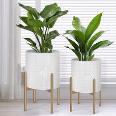 two white planters with plants in them