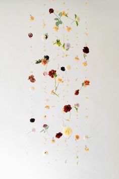 an arrangement of flowers floating in the air